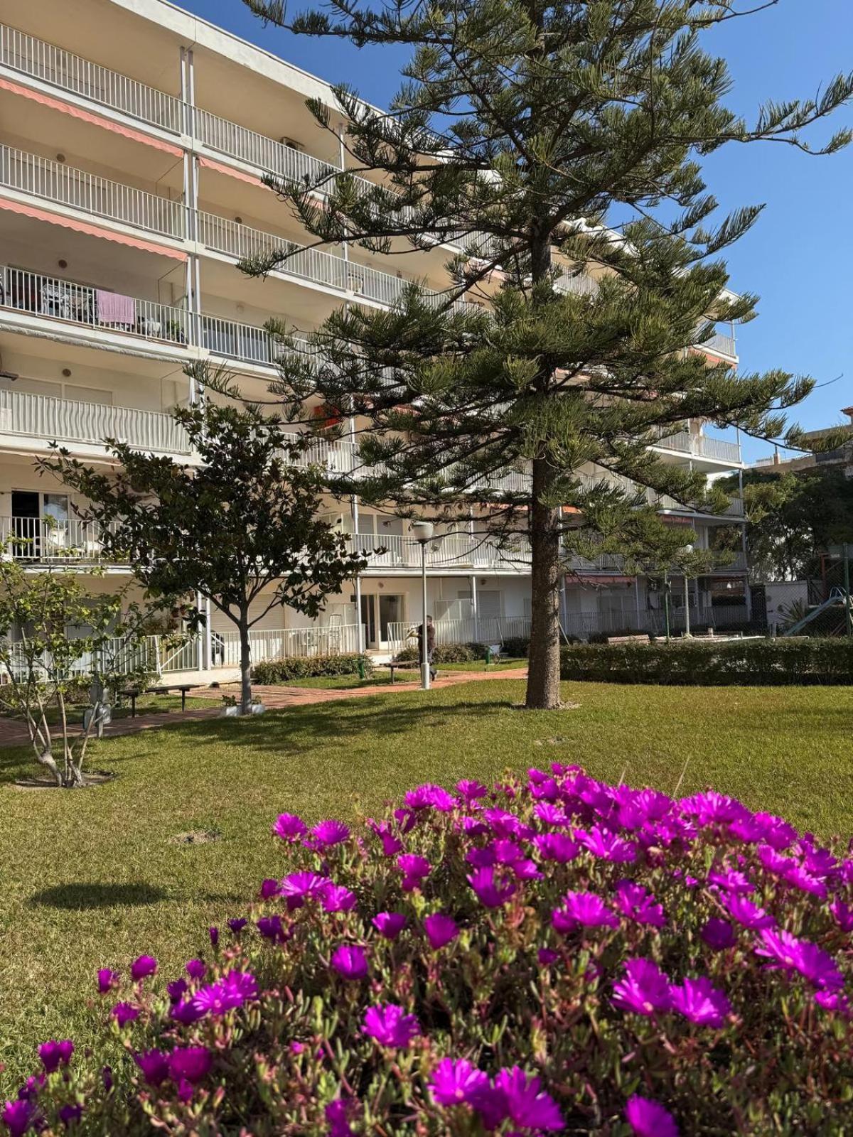 Apartamentos Hesperia Palmyra Salou Exteriör bild